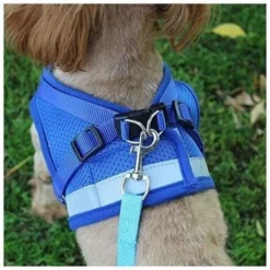 Ensoleillé Harnais Réflechissant, Harnais Réglable, Harnais Avec Laisse, Harnais Pour Chiot, Harnais Pour Chat (Gris - M) -Amis Poils Soldes Boutique 72446505 4
