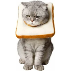 Collier De Cône De Chat Réglable Doux, Collier De Récupération De Chat, Collier En E Mignon Pour Chats Après La Chirurgie, Cônes De Cou De Chat Pour Arrêter De Lécher Pour Chat/chaton/petit Chien