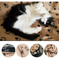 Grandes Couvertures En Peluche Douces Pour Chiens, Chats, Lapins Et Autres Animaux De Compagnie - Une Bonne Addition Au Lit De Votre Animal, Multicolore, 3 Unités, 70 X 100 Cm -Amis Poils Soldes Boutique 76663117 4