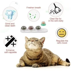 Chat Boule Menthe, Jouets à L'herbe à Chat, Jouet Boule D'herbe à Chat, Base De Jouet De Balle D'herbe à Chat, Bonbons Chat/Boules à La Menthe -Amis Poils Soldes Boutique 76663213 4