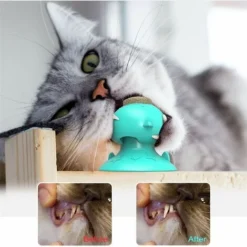 Animaux Chats Brosse à Dents Jouet Drôle Forme Cataire Saveur Silicone Molaire Bâton Dents Nettoyage Jouet Pour Chats Chaton -Amis Poils Soldes Boutique 76663623 4