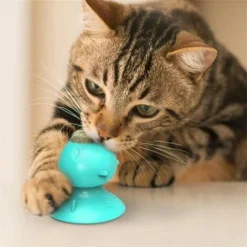 Animaux Chats Brosse à Dents Jouet Drôle Forme Cataire Saveur Silicone Molaire Bâton Dents Nettoyage Jouet Pour Chats Chaton -Amis Poils Soldes Boutique 76663623 5