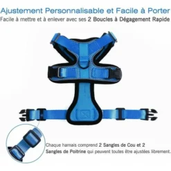 Harnais Pour Chat Petit Chien Laisse Réglable Bleu XS Collier De Harnais Pour Chat Réfléchissant Débardeur Respirant Pour Chat Animaux Clip Supérieur Avec Laisse -Amis Poils Soldes Boutique 76980534 5