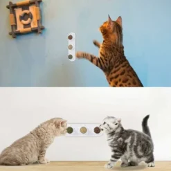 Jouets à L'herbe à Chat, Balles D'herbe à Chat Comestibles, Herbe à Chat Sûre Et Saine, Famille De Chats Chassant Les Jouets, Nettoyant Les Dents, Protégeant L'estomac -Amis Poils Soldes Boutique 78849160 5