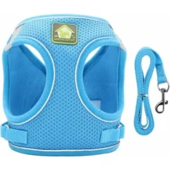 Harnais Et Laisse Pour Chat Et Petit Chien,