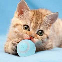 （Bleu）Jouet Boule De Chat Rechargeable - Jouets Intelligents Pour Chatons Roulants Automatiques - Boule Tournante à 360 Degrés Pour Chats -Amis Poils Soldes Boutique 80156463 5