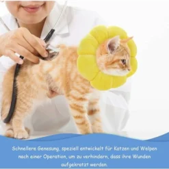 Collerette Pour Chat Rréglable Anti-Morsure Collerette Chat Collier Anti Lechage Après Chirurgie Chat Collier 7 Collerette Pour Chat Rréglable Anti-Morsure Collerette Chat Collier Anti Lechage Après Chirurgie Chat Collier -Amis Poils Soldes Boutique 80283140 3