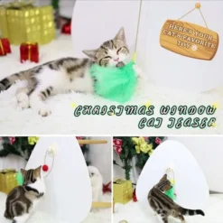 Jouets En Plumes De Chat, Baguette De Jouet Interactive Avec Ventouse, Boule Et Fenêtre En Plume Teasers De Jouets Pour Chat Pour Un Jeu De Chat Attrayant -Amis Poils Soldes Boutique 80596922 5