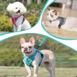 Harnais Réglable Anti-éclatement Pour Chat Avec Laisse - Harnais Souple Pour Chat - Harnais De Poitrine Pour Chat - Chiot - Lac Bleu -S -Amis Poils Soldes Boutique 81550189 4