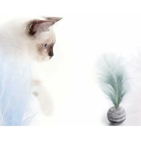 Jouets Pour Chat Travail Indépendant Chat Chat Intelligence Jouet Accessoires Ensemble De Jouets Interactifs Pour Chat Jouets De Balle De Plumes Activité Stuff Balls Jeux D'activité Balle De Chat 3 Pi 4 Jouets Pour Chat Travail Indépendant Chat Chat Intelligence Jouet Accessoires Ensemble De Jouets Interactifs Pour Chat Jouets De Balle De Plumes Activité Stuff Balls Jeux D'activité Balle De Chat 3 Pi – Image 4