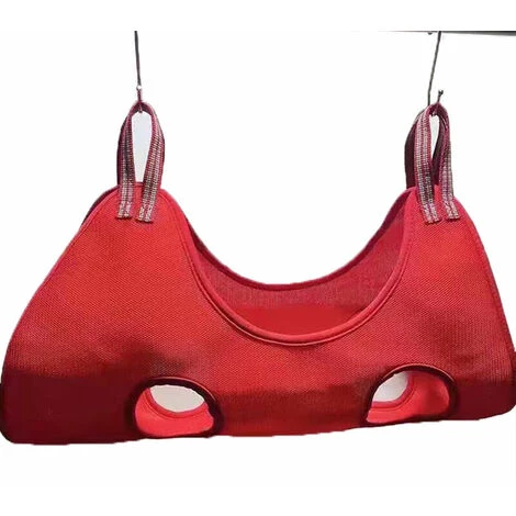 Chien Toilettage Hamac Harnais Toilettage Pince à Ongles Coupe Bain Sac De Retenue (S) Rouge 1 Chien Toilettage Hamac Harnais Toilettage Pince à Ongles Coupe Bain Sac De Retenue (S) Rouge