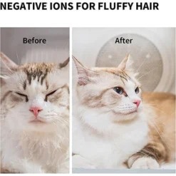 PETKIT AIRSALON Max Sèche-Cheveux Automatique Pour Chat, Séchoir Automatique Pour Animaux De Compagnie Pour Chats Et Petits Chiens, 60L Grande Capacité, Contrôle Intelligent De La Température APP -Amis Poils Soldes Boutique 86474625 5