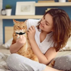 DHKLFA Collier Chat Airtag,Collier Pour Chat Avec Cloche Collier Chat Airtag Support Airtag étanche Boucle De Sécurité,Collier Chat Anti étranglement,Collier Chat Personnalisé (S, Black) 8 DHKLFA Collier Chat Airtag,Collier Pour Chat Avec Cloche Collier Chat Airtag Support Airtag étanche Boucle De Sécurité,Collier Chat Anti étranglement,Collier Chat Personnalisé (S, Black) -Amis Poils Soldes Boutique 87800518 4