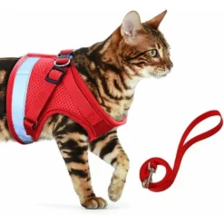 DHKLFA Harnais Chat, Harnais Chaton, Harnais Pour Chaton Harnais Pour Chat Et Laisse Pour Chat Réglable Harnais Laisse Gilet Respirant Gilet Pour Animal Domestique Chaton (XS, Rouge 2)