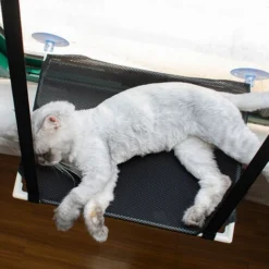 Hamac Chat, Accroché à La Fenêtre, 463340cm, Noir 7 Hamac Chat, Accroché à La Fenêtre, 463340cm, Noir -Amis Poils Soldes Boutique 88212736 3