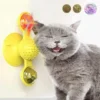 LTDSFHC Jouet De Chat Moulin à Vent, Tourne-disque, Jouet De Chat, Ventouse, Jouet Interactif Rotatif, Brosse à Poils De Chat, Tourne-disque, Massage, Grattage, Chatouillettes.