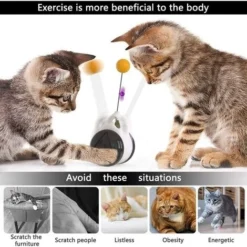 Jouet Interactif Pour Chat - Balanoire équilibrée - Balle Rotative à 360 Degrés - Avec Herbe à Chat - Stimule L'instinct De Chasse Attrayant - Jouet D'entranement Pour Chat 9 Jouet Interactif Pour Chat - Balanoire équilibrée - Balle Rotative à 360 Degrés - Avec Herbe à Chat - Stimule L'instinct De Chasse Attrayant - Jouet D'entranement Pour Chat -Amis Poils Soldes Boutique 89257143 5