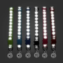 Collier De Chat Réglable Réfléchissant Collier De Chat à Dégagement Rapide Détachable Avec Cloche Pour Chaton Chats Kit De 12 Pièces -Amis Poils Soldes Boutique 90261800 4