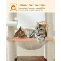 Songmics Arbre à Chat, Tour De Jeux De 138 Cm, Pour Chats Domestiques, Niche, Meuble Pour Chat, Multiniveau, Avec Griffoirs, Avec Hamac, Plate-Forme, Housse Lavable, Marron Rustique PCT164X01 -Amis Poils Soldes Boutique 90266699 3