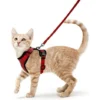 Harnais Avec Laisse Pour Chats, Harnais Et Laisse Pour Chats, Harnais Réglable Pour Chatons, Collier Harnais Pour Chats, Gilet Respirant, Pour Chat Européen, Chat Persan (rouge, XS)