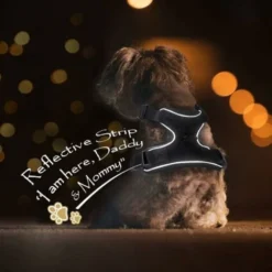 Harnais Avec Laisse Pour Chats, Harnais Et Laisse Pour Chats, Harnais Réglable Pour Chatons, Collier Harnais Pour Chats, Gilet Respirant, Pour Chat Européen, Chat Persan (rouge, XS) -Amis Poils Soldes Boutique 91312074 4