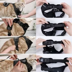 Harnais Avec Laisse Pour Chats, Harnais Et Laisse Pour Chats, Harnais Réglable Pour Chatons, Collier Harnais Pour Chats, Gilet Respirant, Pour Chat Européen, Chat Persan (rouge, XS) -Amis Poils Soldes Boutique 91312074 5