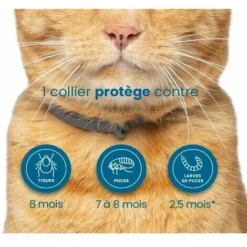 EHSxGh Chat – Collier Anti-Puces Et Anti-Tiques Pour Chats – 2 Colliers, -Amis Poils Soldes Boutique 91760911 3