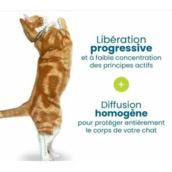 EHSxGh Chat – Collier Anti-Puces Et Anti-Tiques Pour Chats – 2 Colliers, -Amis Poils Soldes Boutique 91760911 4