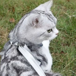 LTS FAFA Harnais Chat Réglable Harnais Laisse, Harnais Pour Chat Anti-évasion De 150 Cm Avec Laisse Extensible, Harnais Pour Chat Confortable Et Respirant Pour La Course(Gris/S) -Amis Poils Soldes Boutique 92207598 4