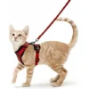 Harnais Chat Petit Chien Laisse Harnais Chaton Réglable Rouge XS Collier Harnai Chat Refléchissant Gilet Respirant Pour Lapin, Chat Européen, Maine Coon, Persan, Attache Dessus Avec Laisse