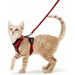 Harnais Chat Petit Chien Laisse Harnais Chaton Réglable Rouge XS Collier Harnai Chat Refléchissant Gilet Respirant Pour Lapin, Chat Européen, Maine Coon, Persan, Attache Dessus Avec Laisse