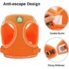 Harnais Et Laisses Pour Chats Harnais Chaton Anti évasion Réfléchissant Réglable Harnet Pour Chat Gilet Respirant Harnais Petit Chien (M)