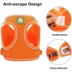 Harnais Et Laisses Pour Chats Harnais Chaton Anti évasion Réfléchissant Réglable Harnet Pour Chat Gilet Respirant Harnais Petit Chien (M)