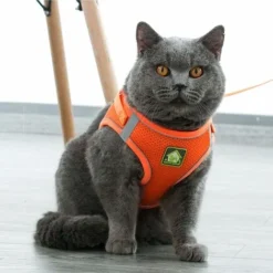Harnais Et Laisses Pour Chats Harnais Chaton Anti évasion Réfléchissant Réglable Harnet Pour Chat Gilet Respirant Harnais Petit Chien (M) -Amis Poils Soldes Boutique 93860469 3