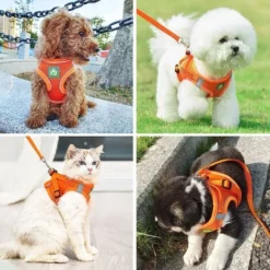 Harnais Et Laisses Pour Chats Harnais Chaton Anti évasion Réfléchissant Réglable Harnet Pour Chat Gilet Respirant Harnais Petit Chien (M) -Amis Poils Soldes Boutique 93860469 5