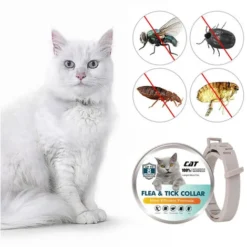 Collier Anti-puces Pour Chats Prévention Des Puces Et Des Tiques De 8 Mois Pour Chats âgés De 3 Mois Et Plus PACK 2 -Amis Poils Soldes Boutique 93939658 4