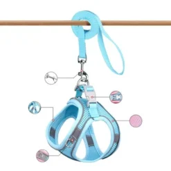 Harnais Pour Chat Avec Laisse, Laisse Pour Chat Anti-évasion, Harnais Pour Chat Réglable, Harnais De Poitrine Souple Pour Chiens Chats, Noir, (M) -Amis Poils Soldes Boutique 94721115 4