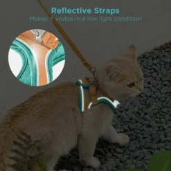 Harnais Et Laisse Pour Chat, Veste De Marche Confortable Pour Chat Avec Laisse -Amis Poils Soldes Boutique 95461506 2