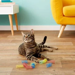 Lot De 40 Jouets à Ressort Pour Chat, Ressorts Hélicoïdaux En Plastique, Cadeaux Fantaisie Pour Animaux De Compagnie, Pour Que Les Chats Mordent, Chassent Et Jouent Avec Leurs Propriétaires. -Amis Poils Soldes Boutique 95476027 2