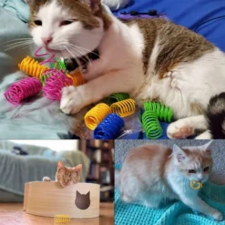 Lot De 40 Jouets à Ressort Pour Chat, Ressorts Hélicoïdaux En Plastique, Cadeaux Fantaisie Pour Animaux De Compagnie, Pour Que Les Chats Mordent, Chassent Et Jouent Avec Leurs Propriétaires. -Amis Poils Soldes Boutique 95476027 3