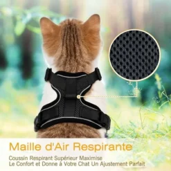 Harnais Chat Petit Chien Laisse Harnais Chaton Réglable Rouge XS Collier Harnai Chat Refléchissant Gilet Respirant Pour Lapin, Chat Européen, Maine Coon, Persan, Attache Dessus Avec Laisse（noir） -Amis Poils Soldes Boutique 95477066 3