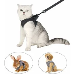 Harnais Pour Chat　Harnais Pour Chat - Ensemble De Harnais Et Laisse Chat Ultra-Léger Harnais Chaton Réglable Anti-Fuite Pour Chiot Lapin Furet(Gri,S) -Amis Poils Soldes Boutique 96337853 5