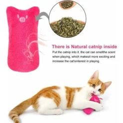 Peluche Pour Chat　Jouet En Peluche Catnip, Jouet Chat Herbe à Chat, à Mâcher Et à Nettoyer Les Dents, Appropriés Pour Les Jouets Pour Chat D'intérieur -Amis Poils Soldes Boutique 96339257 5