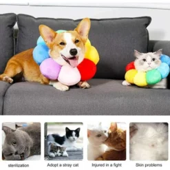 Collar, Collier De Récupération Pour Chat Collerette De Protection Ajustable Soft Edge Respirant Conçu Collier De Protection Pour Animal De Compagnie, Fleur Du Soleil Coloré, M 7 Collar, Collier De Récupération Pour Chat Collerette De Protection Ajustable Soft Edge Respirant Conçu Collier De Protection Pour Animal De Compagnie, Fleur Du Soleil Coloré, M -Amis Poils Soldes Boutique 97503131 3