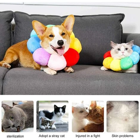 Collar, Collier De Récupération Pour Chat Collerette De Protection Ajustable Soft Edge Respirant Conçu Collier De Protection Pour Animal De Compagnie, Fleur Du Soleil Coloré, M 3 Collar, Collier De Récupération Pour Chat Collerette De Protection Ajustable Soft Edge Respirant Conçu Collier De Protection Pour Animal De Compagnie, Fleur Du Soleil Coloré, M – Image 3