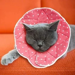 Collerette Confortable De Post-chirurgie Pour Chats Et Chiens, Robuste, Imperméable, Résistante Aux Griffures Et Morsures, Facile à Nettoyer, Avec Attache Ajustable