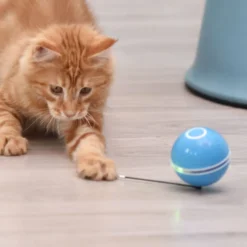 Jouets Interactifs Pour Chats Pour Chats D'Intérieur, Jouets Pour Chatons Roulants Automatiques, Lumière Led De Couleur Tournante Intégrée, Boule De Mouvement De Synchronisation De Charge Usb Avec Plu 7 Jouets Interactifs Pour Chats Pour Chats D'Intérieur, Jouets Pour Chatons Roulants Automatiques, Lumière Led De Couleur Tournante Intégrée, Boule De Mouvement De Synchronisation De Charge Usb Avec Plu -Amis Poils Soldes Boutique 97537557 3