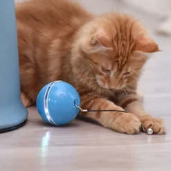Jouets Interactifs Pour Chats Pour Chats D'Intérieur, Jouets Pour Chatons Roulants Automatiques, Lumière Led De Couleur Tournante Intégrée, Boule De Mouvement De Synchronisation De Charge Usb Avec Plu 8 Jouets Interactifs Pour Chats Pour Chats D'Intérieur, Jouets Pour Chatons Roulants Automatiques, Lumière Led De Couleur Tournante Intégrée, Boule De Mouvement De Synchronisation De Charge Usb Avec Plu -Amis Poils Soldes Boutique 97537557 4