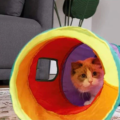 Tunnel Pour Chat , Un Jouet Interactif Pour Chat Est Également Inclus , Jouets Pour Chats , Tunnels Pour Chat Pour Chats D'Intérieur , Tube Pour Chat , Pliable 4 Tunnel Pour Chat , Un Jouet Interactif Pour Chat Est Également Inclus , Jouets Pour Chats , Tunnels Pour Chat Pour Chats D'Intérieur , Tube Pour Chat , Pliable – Image 4