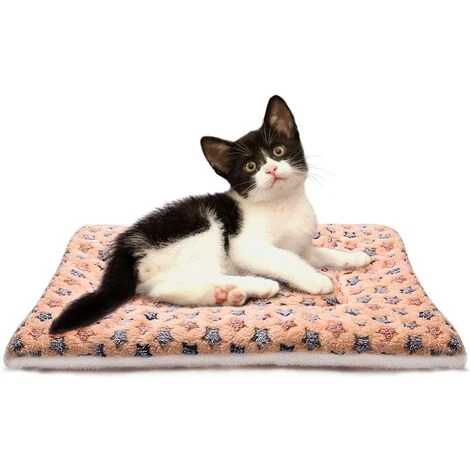 Couverture Polaire Pour Chien Couverture Pour Chat Tapis De Chien Super Doux Et Chaud Pour Chien Et Chat 1 Couverture Polaire Pour Chien Couverture Pour Chat Tapis De Chien Super Doux Et Chaud Pour Chien Et Chat